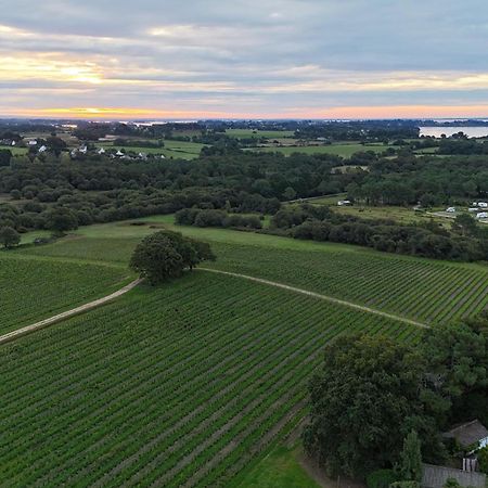 Gite -L'Appart- Au Vignoble Domaine Lamballe, Baden, Golfe Du Morbihan 외부 사진