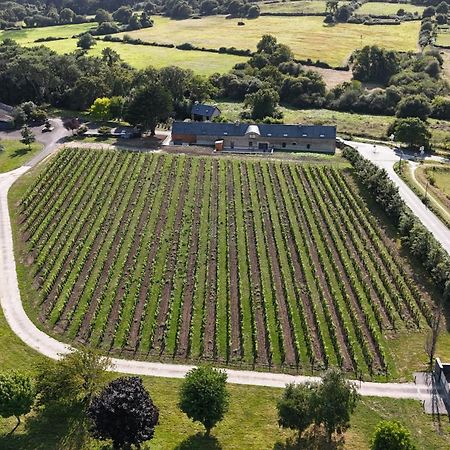 Gite -L'Appart- Au Vignoble Domaine Lamballe, Baden, Golfe Du Morbihan 외부 사진